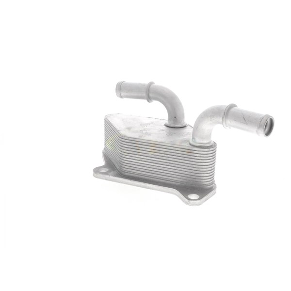 Oljekylare, motor