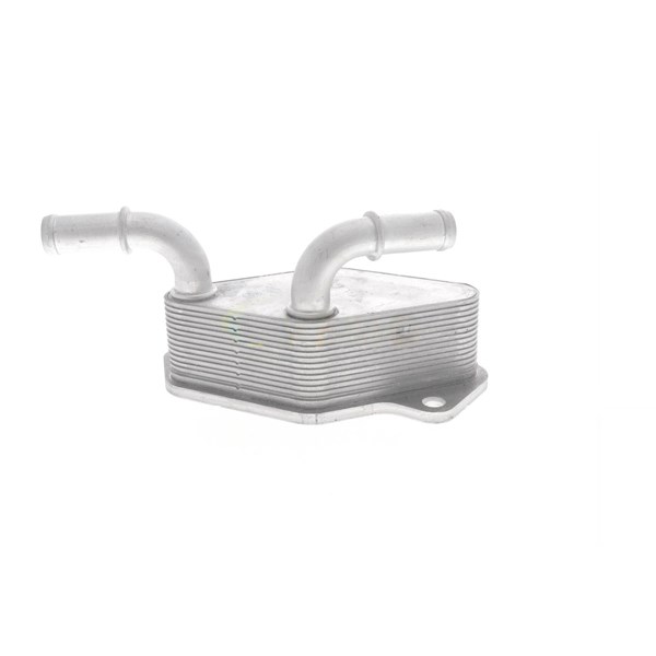 Oljekylare, motor