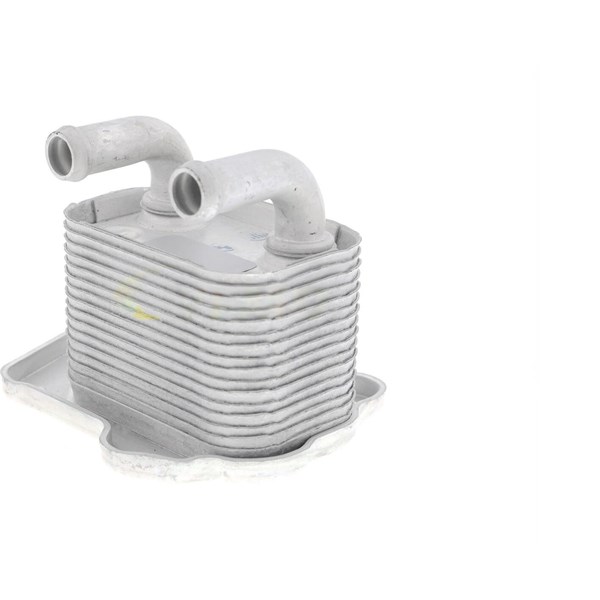 Oljekylare, motor