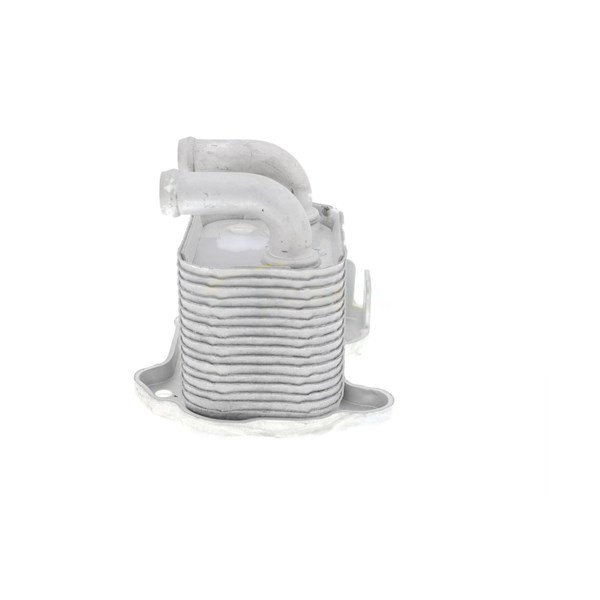 Oljekylare, motor