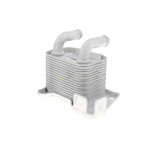 Oljekylare, motor