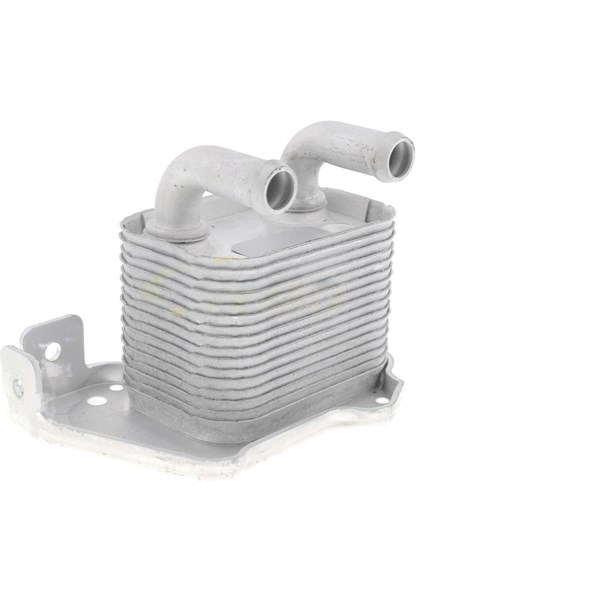 Oljekylare, motor