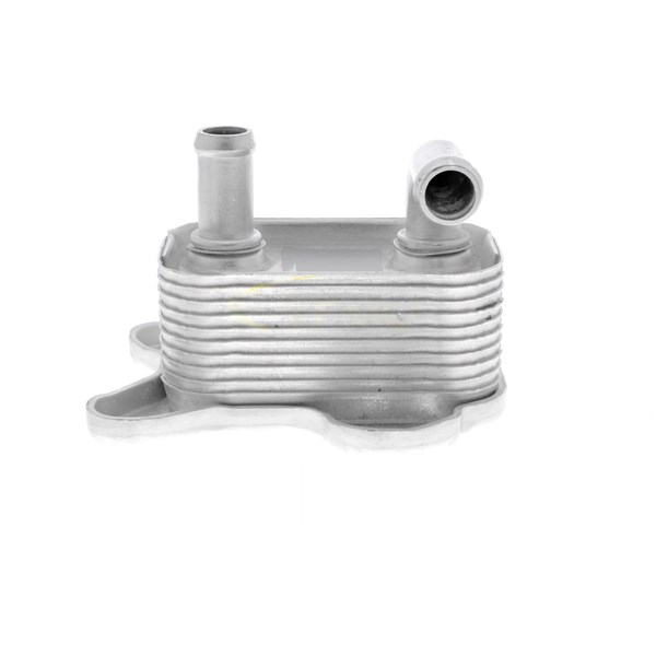 Oljekylare, motor