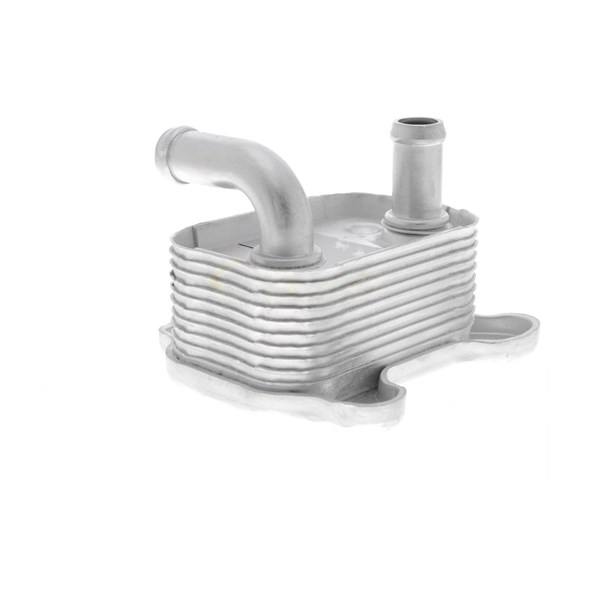 Oljekylare, motor