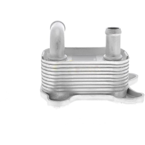 Oljekylare, motor