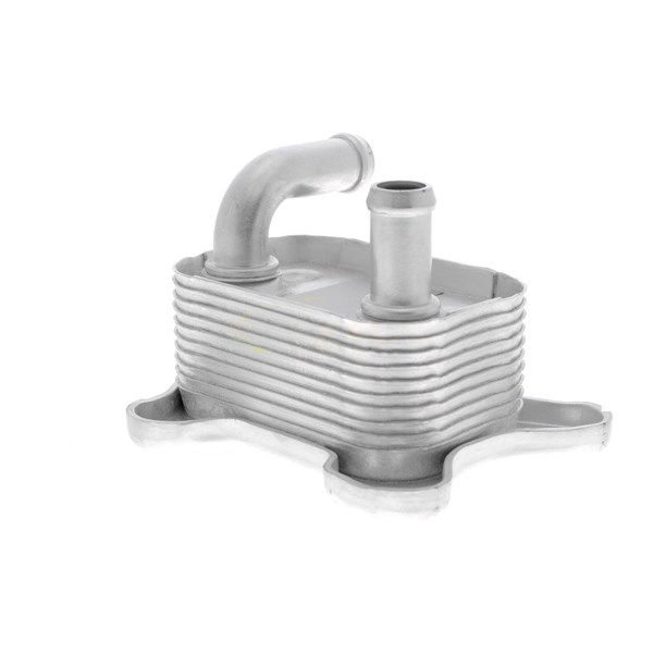 Oljekylare, motor
