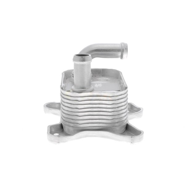 Oljekylare, motor