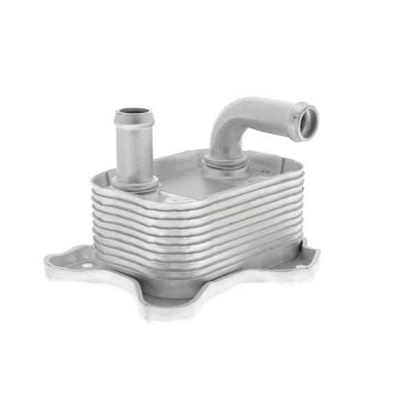 Oljekylare, motor
