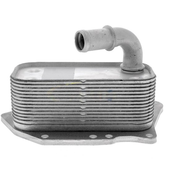 Oljekylare, motor