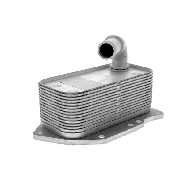 Oljekylare, motor