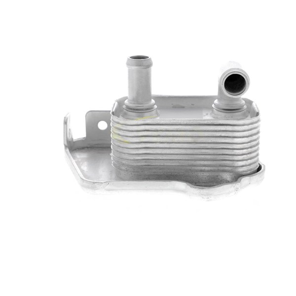 Oljekylare, motor Oljekylare, motor