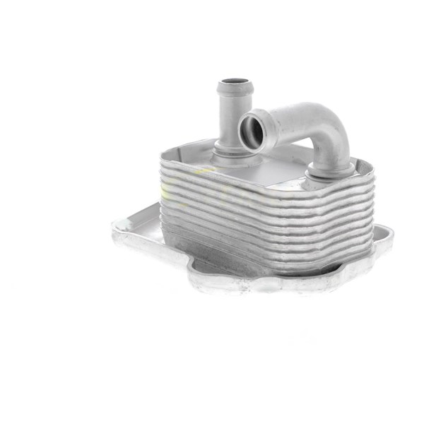 Oljekylare, motor Oljekylare, motor