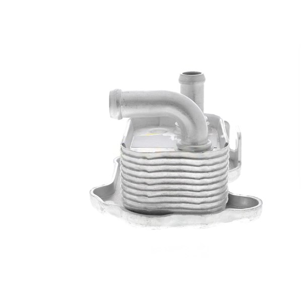 Oljekylare, motor