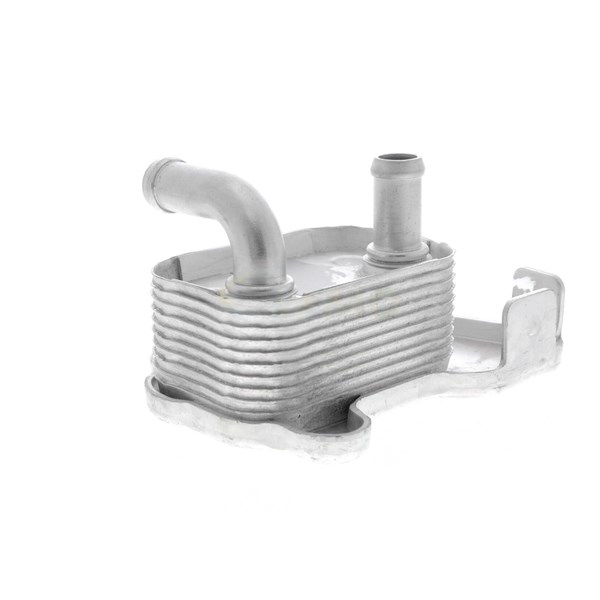 Oljekylare, motor Oljekylare, motor