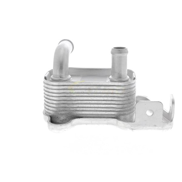 Oljekylare, motor Oljekylare, motor