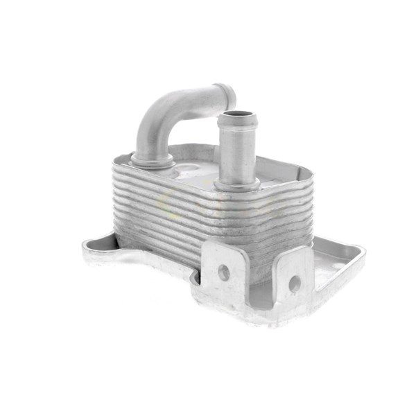 Oljekylare, motor Oljekylare, motor