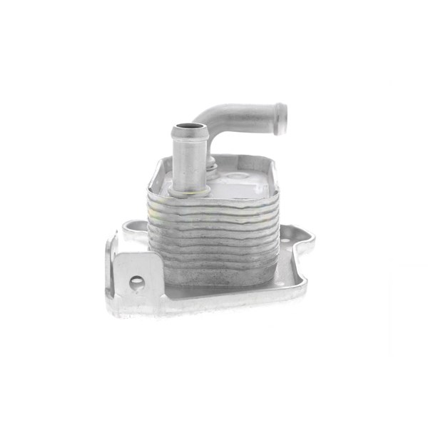 Oljekylare, motor