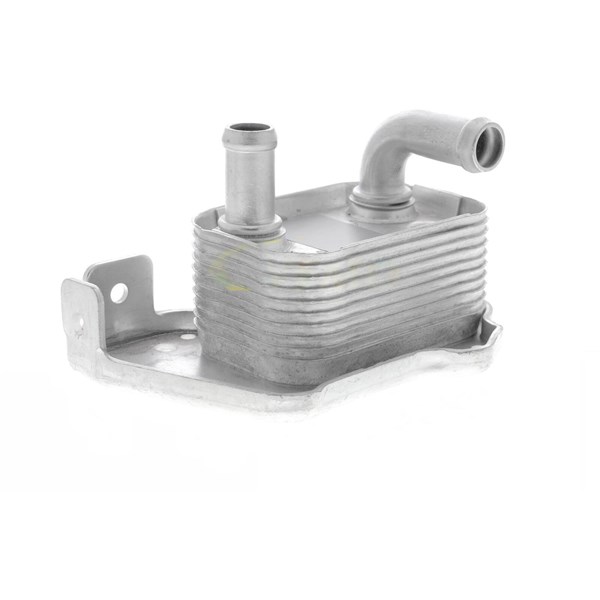 Oljekylare, motor Oljekylare, motor
