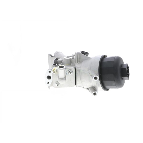 Oljekylare, motor Oljekylare, motor