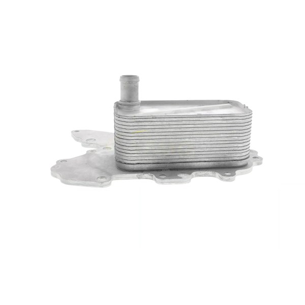 Oljekylare, motor