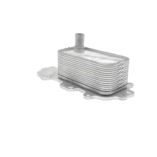 Oljekylare, motor