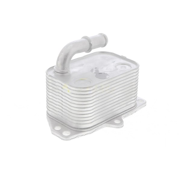 Oljekylare, motor