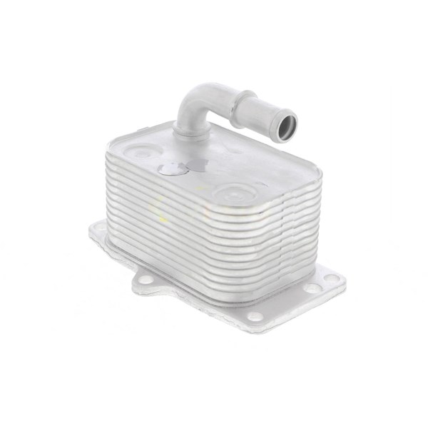 Oljekylare, motor