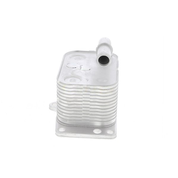 Oljekylare, motor