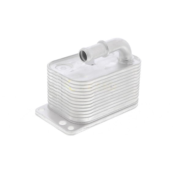 Oljekylare, motor