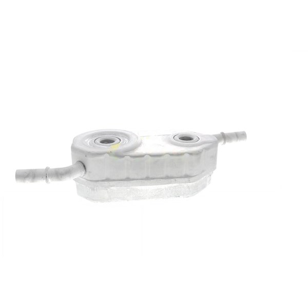 Oljekylare, motor