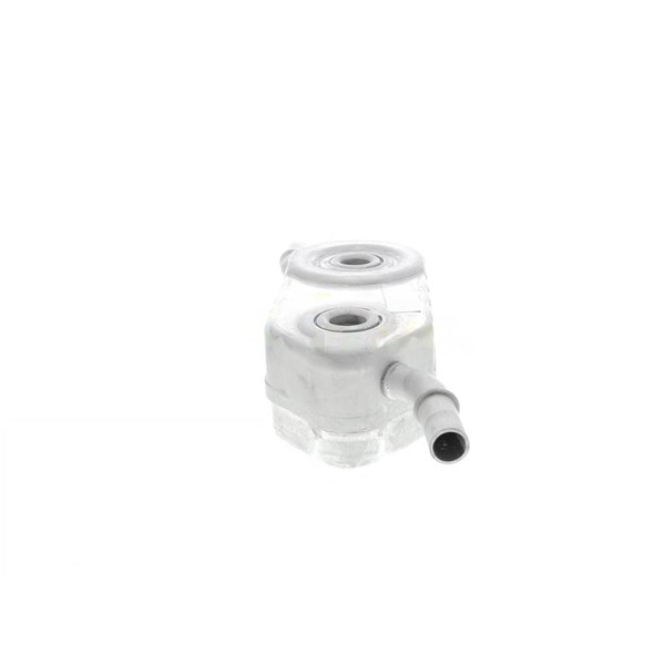 Oljekylare, motor Oljekylare, motor