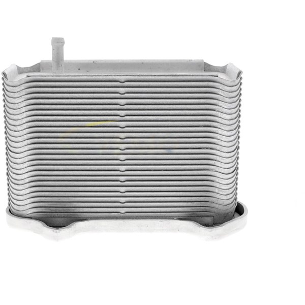 Oljekylare, motor