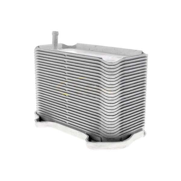 Oljekylare, motor