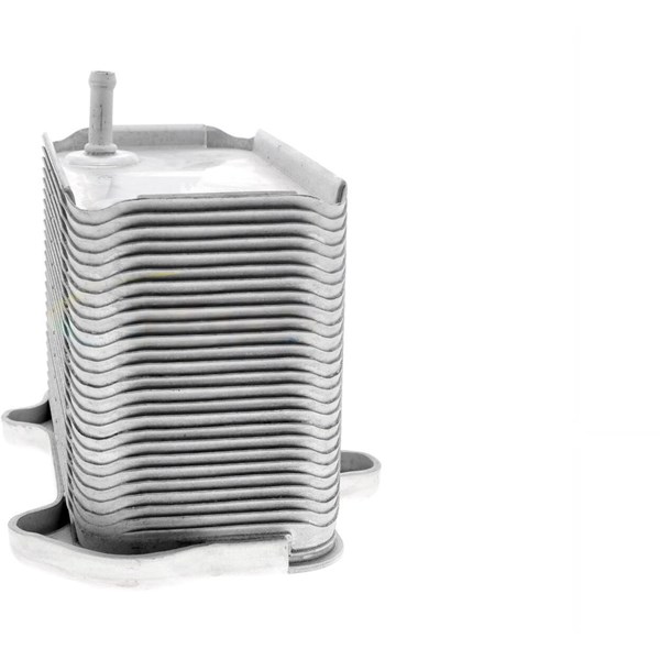 Oljekylare, motor
