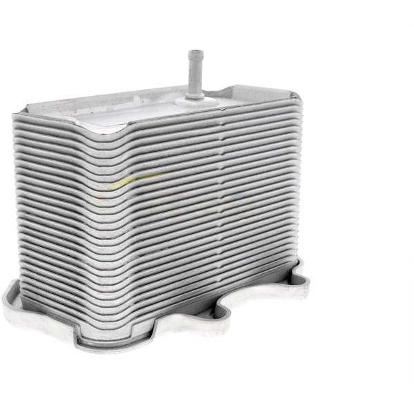 Oljekylare, motor