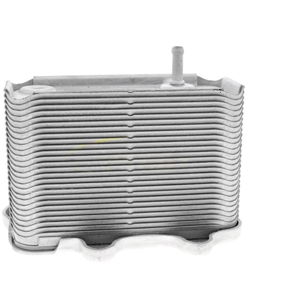 Oljekylare, motor