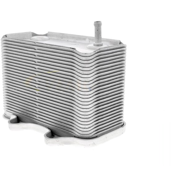 Oljekylare, motor