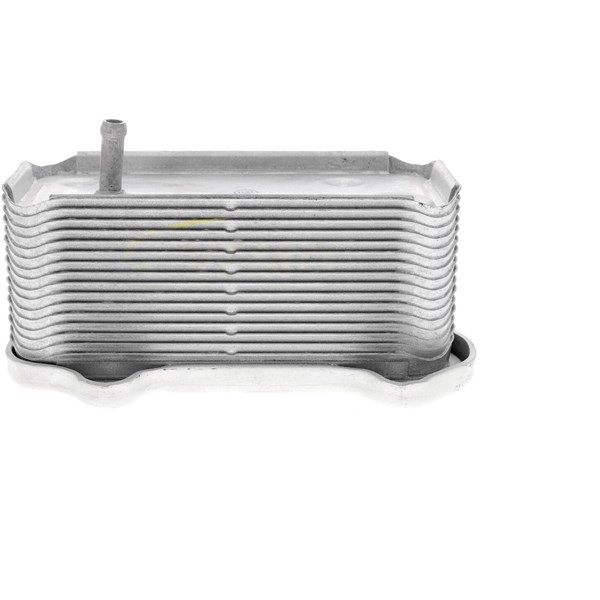 Oljekylare, motor Oljekylare, motor
