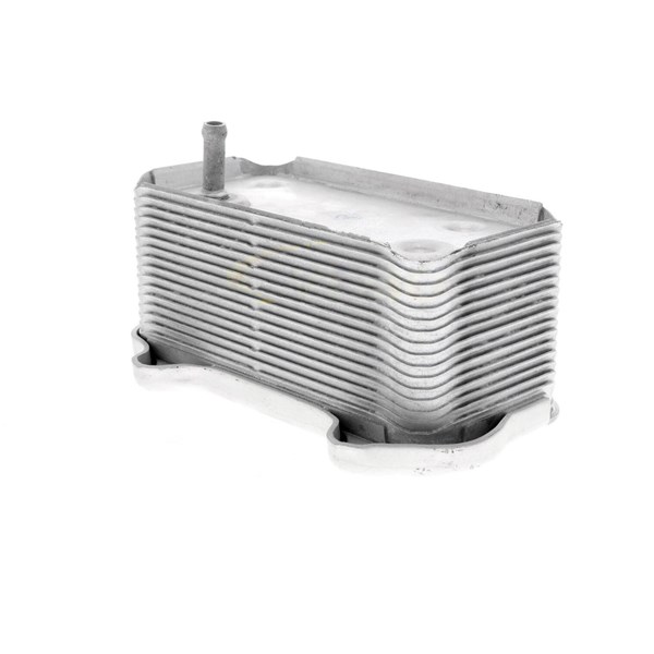 Oljekylare, motor