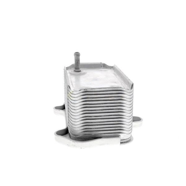 Oljekylare, motor
