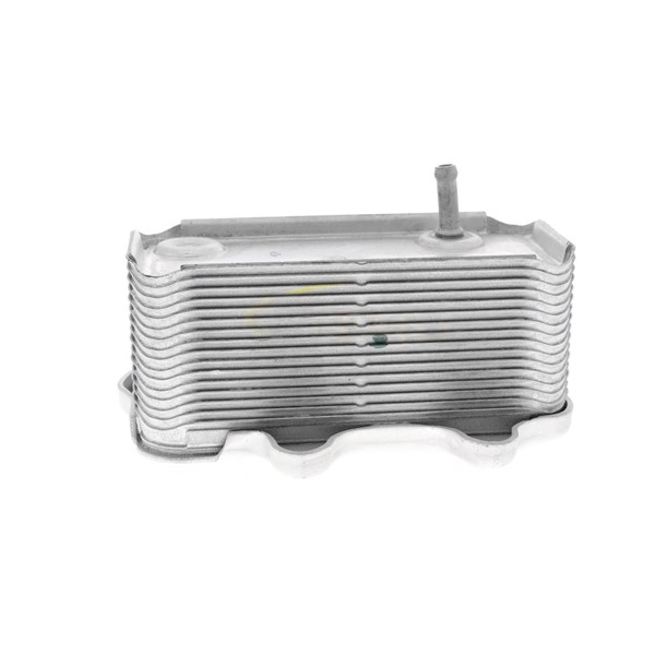 Oljekylare, motor Oljekylare, motor