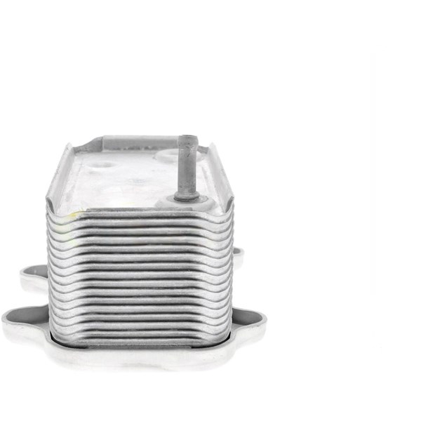 Oljekylare, motor