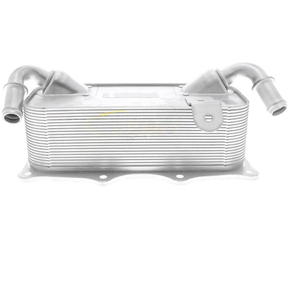 Oljekylare, motor Oljekylare, motor