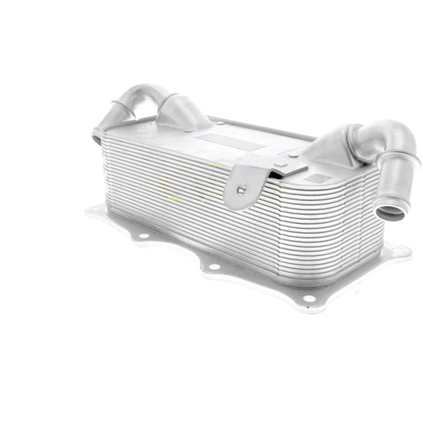 Oljekylare, motor