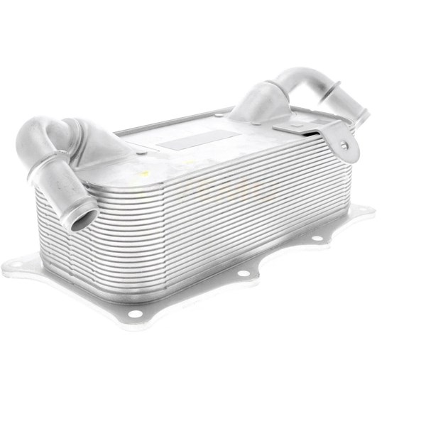 Oljekylare, motor