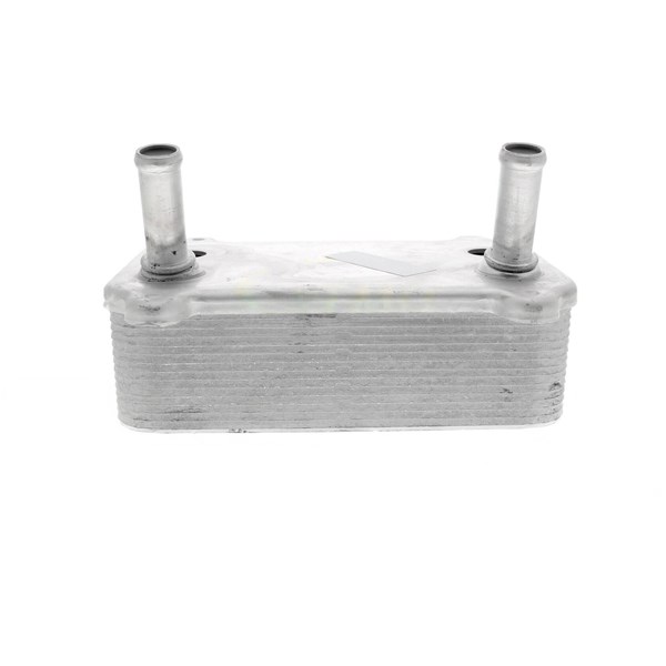 Oljekylare, motor Oljekylare, motor