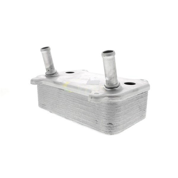 Oljekylare, motor Oljekylare, motor