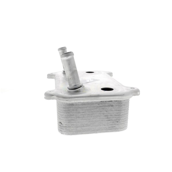 Oljekylare, motor Oljekylare, motor