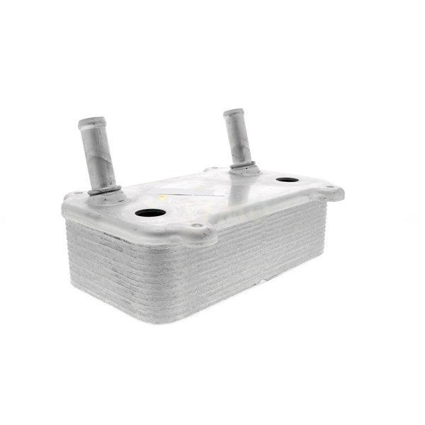 Oljekylare, motor Oljekylare, motor