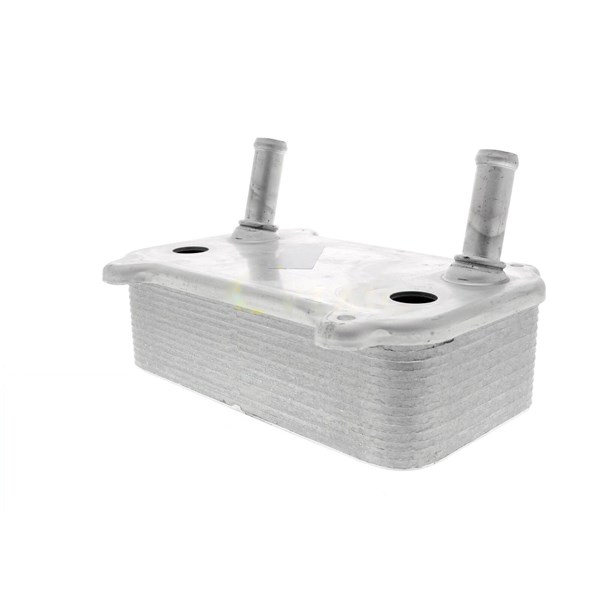 Oljekylare, motor Oljekylare, motor